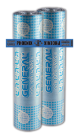 Gama Phoenix